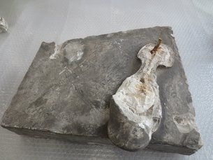 pookiepnl's tweet photo. Rensning af gips er ikke for børn! Læs om @smkconservators 's arbejde med at rense et skulpturportræt af maleren C.W. Eckersberg https://t.co/Amg2sDZYRO 
#konserveringensdag 
#askaconservator 
#dayofconservation https://t.co/3Wbjzg6JeP