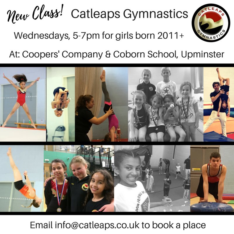 CatleapsGC tweet media