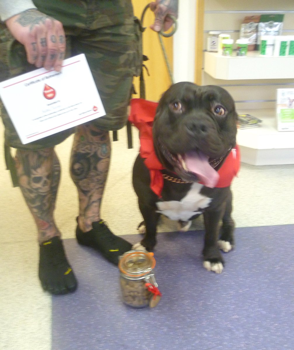PetBloodBank's tweet photo. Kuba has retired after giving 10 donations to Pet Blood Bank, meaning he has helped to save the lives of up to 40 other dogs! Kuba had some treatment for arthritis which used plasma and that means he can no longer donate but his ‘sister’ Rose continues as a PBB donor! https://t.co/lWAMxbZ8sB