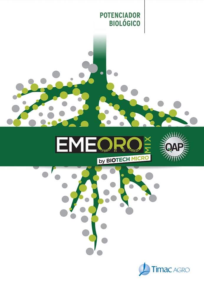 gregorgomezruiz's tweet photo. Espectacular charla con nuestros amigos de La Veratense, y agricultores de la zona, la semana pasada sobre bioestimulacion en cítricos, olivar, almendros, melones y sandías con EMEORO MIX (potenciador biológico a base de micorrizas) y RHIZORG ( potenciador orgánico de suelo). https://t.co/JTSSR9QhrX
