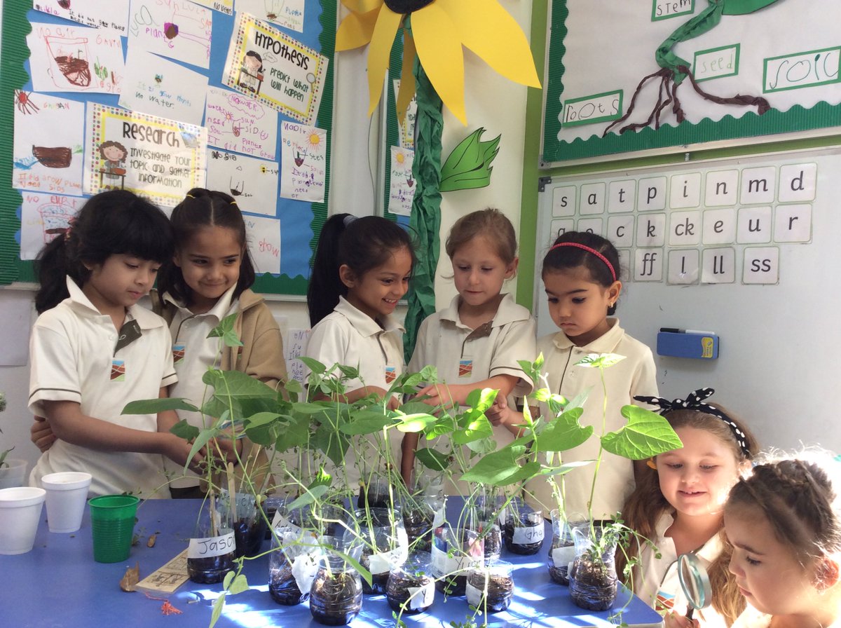 CarmenCatin's tweet photo. We planted beans and observed as they grew!
@GCSPYPCor #sharingtheplanet #scienceinEY #behappybegcs #GCSKGFun https://t.co/lEH7GUHjxe