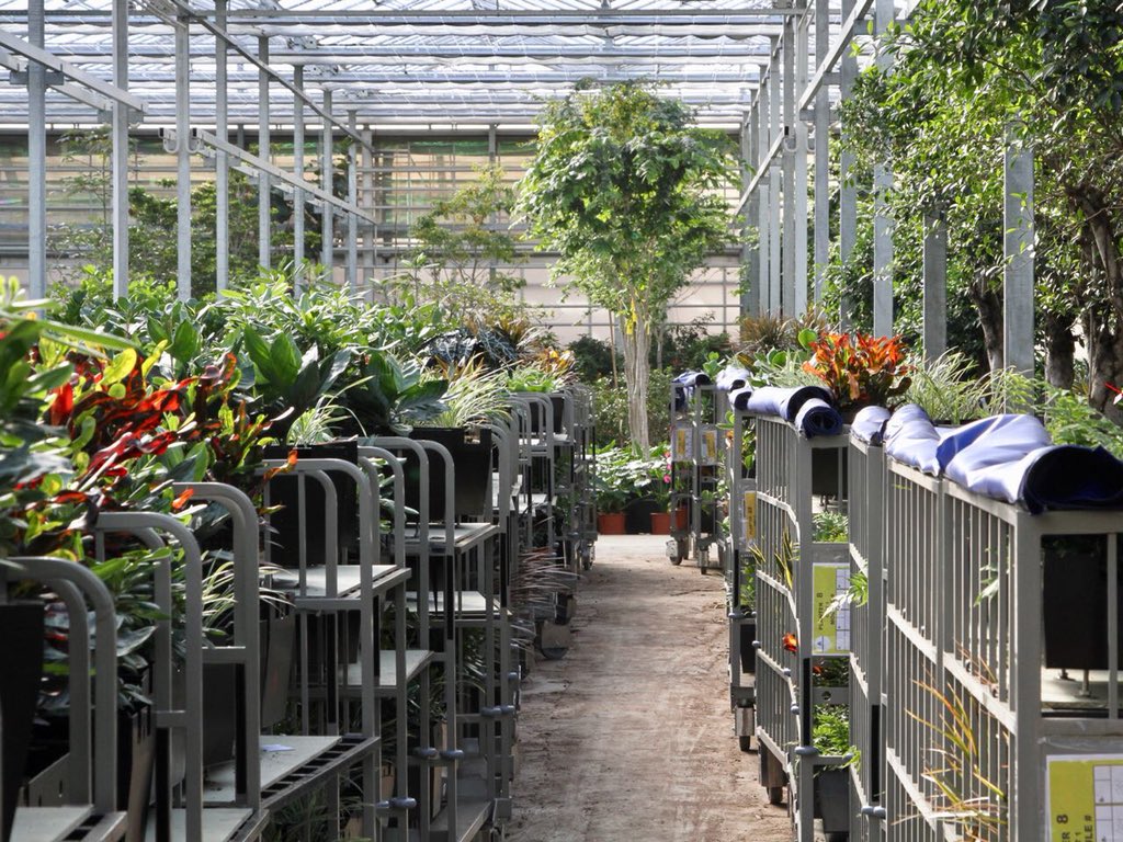 FachjanProjectPlants tweet media