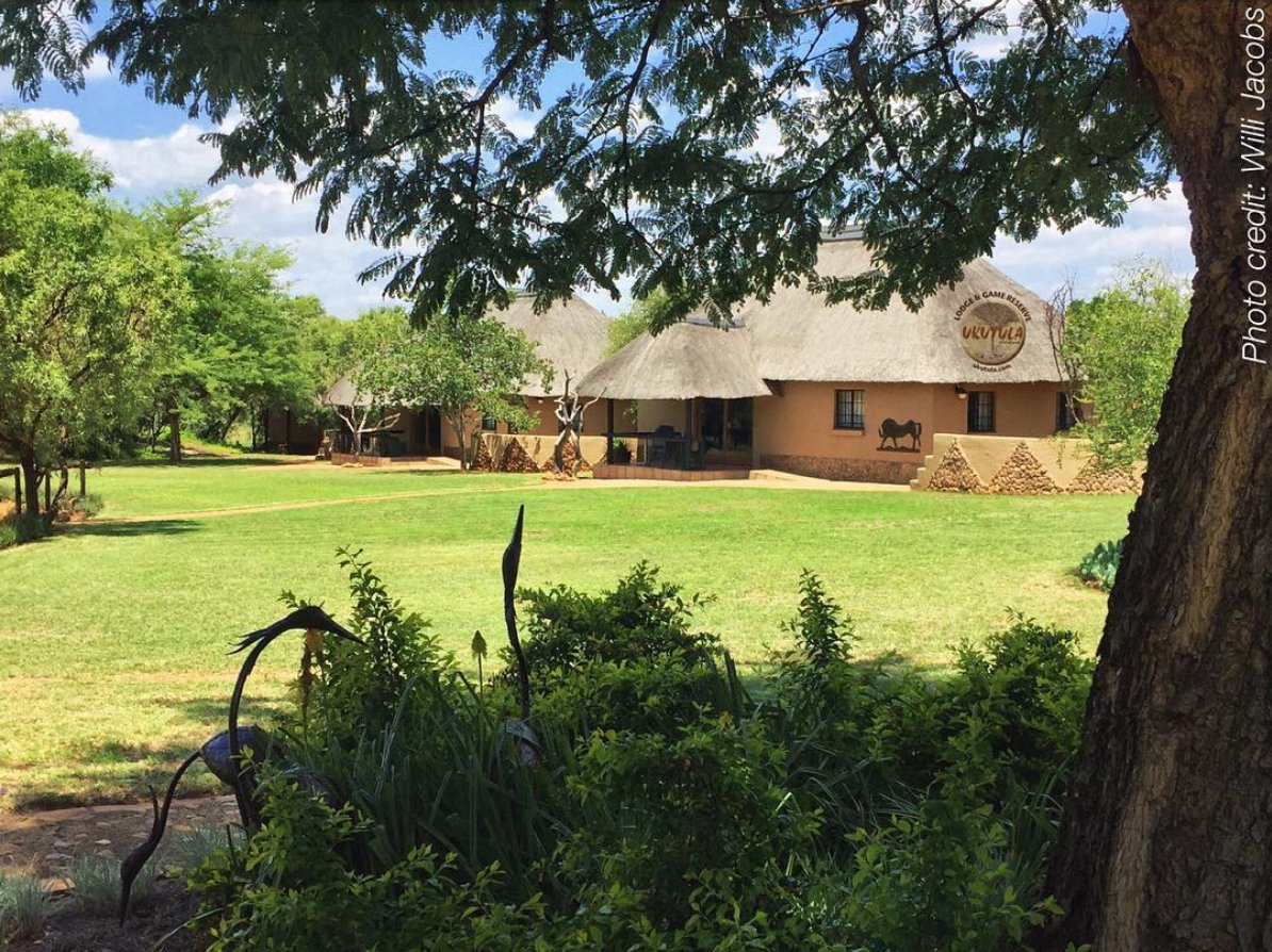 Beautiful #selfcatering #chalets available at Ukutula Lodge.
For more info please visit: ukutula.com #UkutulaLodge
 #wildlifeconservation #UCC #Ukutula #Conservation #Biobank #Travel #Animal #UkutulaConservationCentre #Nature #Animals #accomodation #luxuryaccomodation