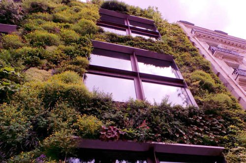 Un jardín vertical ofrece numerosos beneficios a nivel económico, #ecológico y social. Una fachada vegetal ayuda a purificar el aire, reducir la temperatura ambiente, regular la temperatura y promueve la biodiversidad en la ciudad. #ArquitecturaSostenible