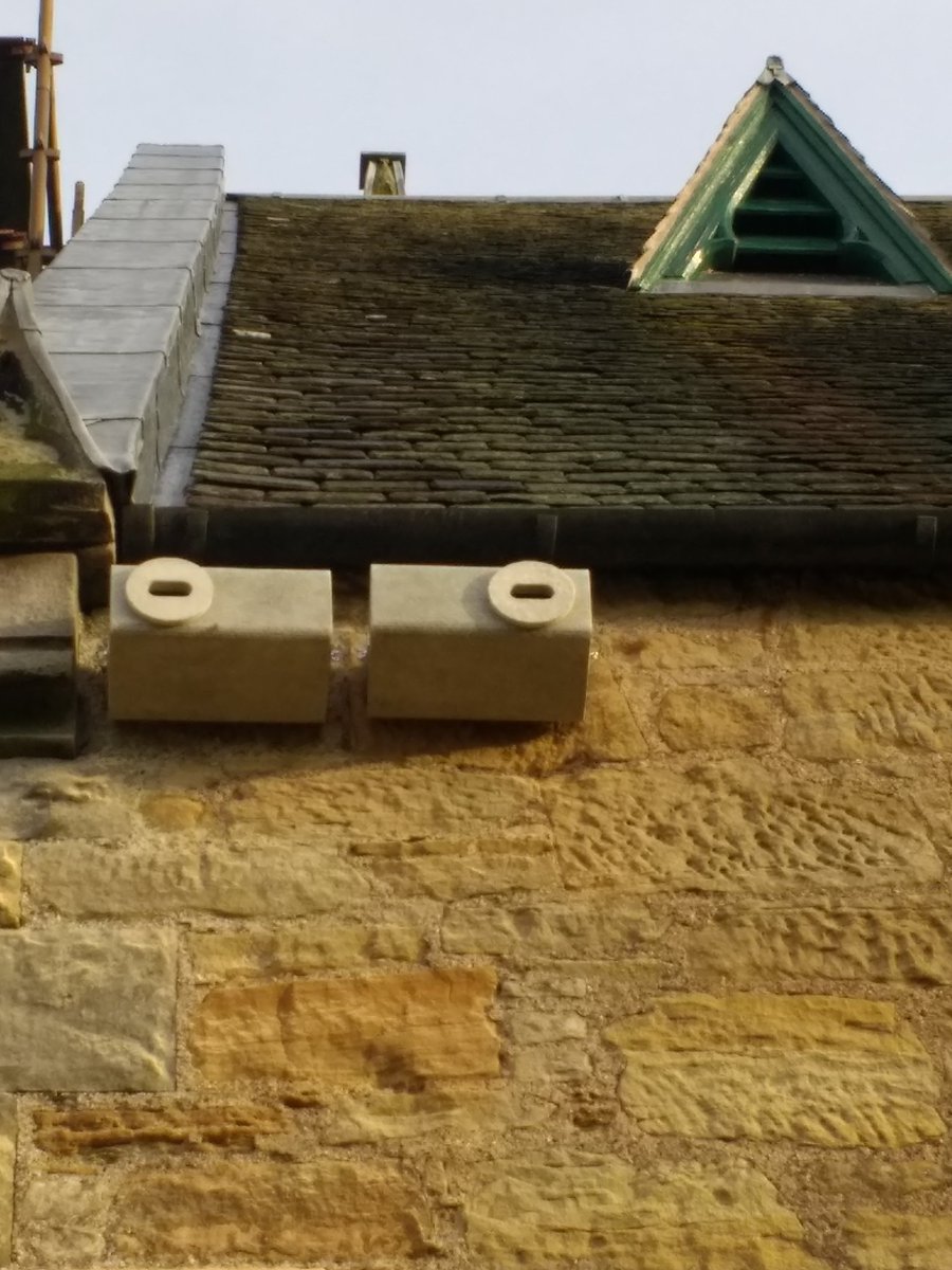 Perthshire Wildlife tweet media