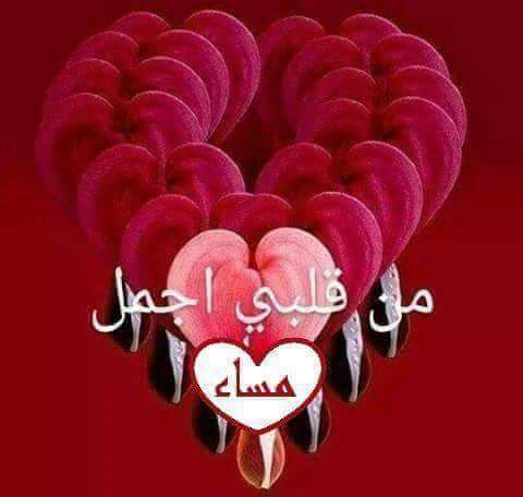 عاشق الدلوعه (@gfgghhhgk) on Twitter photo 