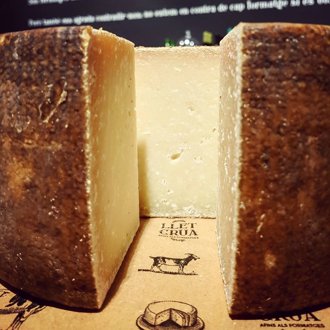Pecorino sardo, fet amb #lletcrua d'ovella d'una raça autòctona de Sardenya. Durant l'envelliment de varis mesos es frega amb oli d'oliva.