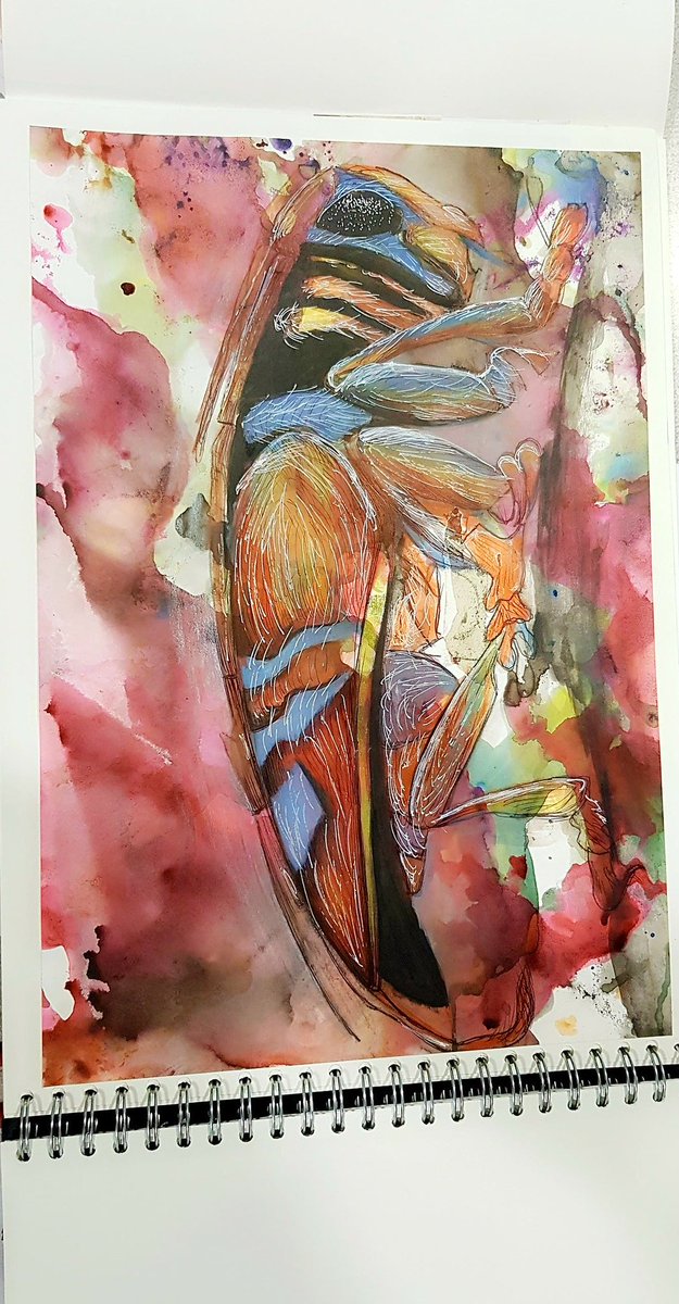 DWHSart's tweet photo. Thushanthika (year 13) 'Insects' Art coursework in progress. https://t.co/yP6juPNpm5