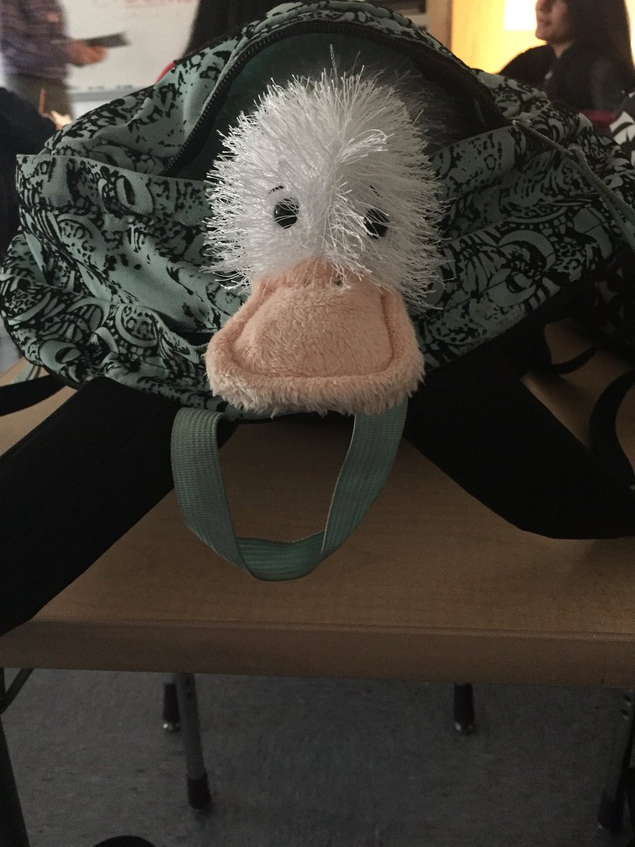 LBGSoccer's tweet photo. Phil is in the building. Today he is spending time with Jennai at school. #PhildoesSpanishclass https://t.co/58LFlOcu8u
