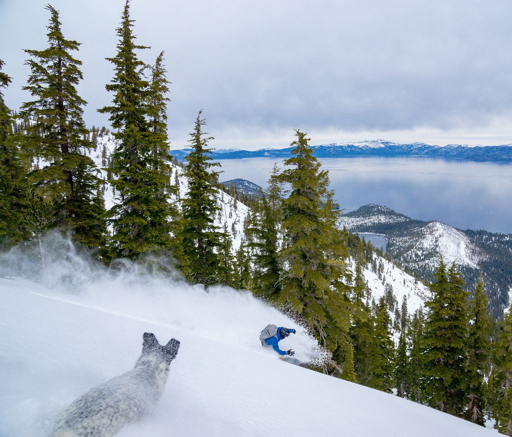 Pret Helmets tweet media