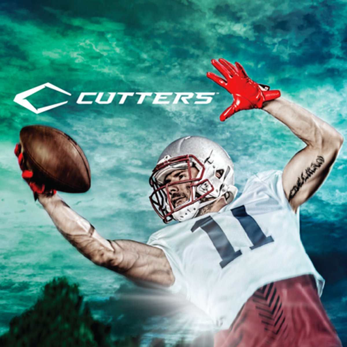 Julian Edelman (Edelman11) Twitter