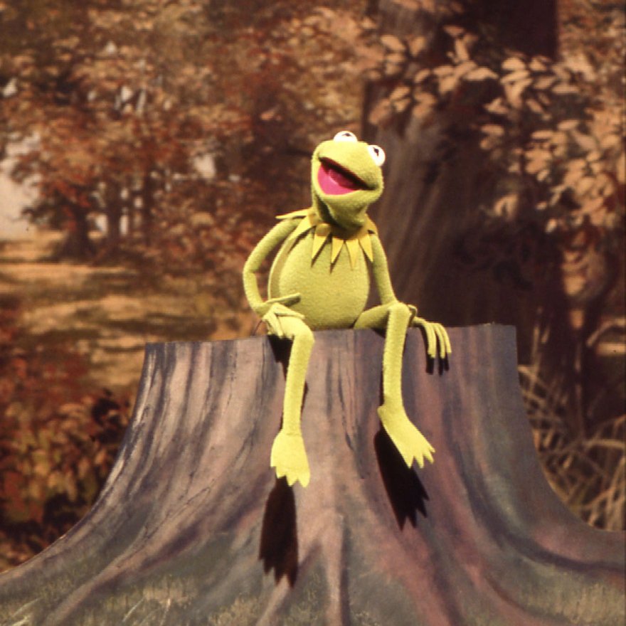 KermitTheFrog's tweet photo. It's a little bit easier bein' green than it was when I took this #TBT picture. Green is still what I wanna be! 💚 https://t.co/f95cfqxsA5