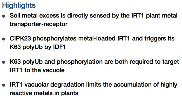 gdubeaux's tweet photo. Finally! My thesis paper is online and published in @MolecularCell! I’m so happy!!! #MetalSensing by the IRT1 Transporter-Receptor Orchestrates
Its Own Degradation and Plant Metal #Nutrition. #Transceptor #InloveWithScience #GDJournalClub https://t.co/F3mbd5EAiZ https://t.co/a2NtxLrKvm