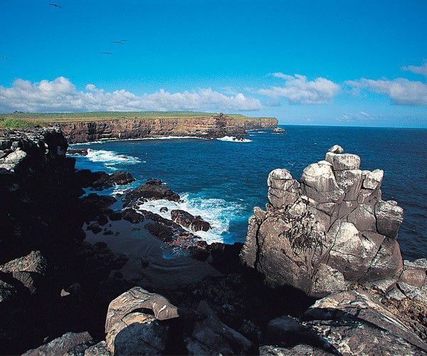 Adventure_Art1's tweet photo. Scientific Relevance of Galapagos: Five Reasons Why https://t.co/ECzhbDqyqD fr @luxury__travel https://t.co/eJNVh9Lzdi