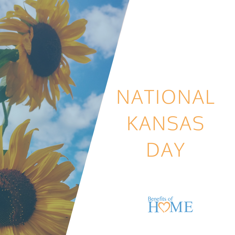 Benefitsofhome_'s tweet image. What is your favorite thing about living in Kansas?!

#nationalkansasday #sunflower #stateflower #kansascity #kcmetro #caregiver