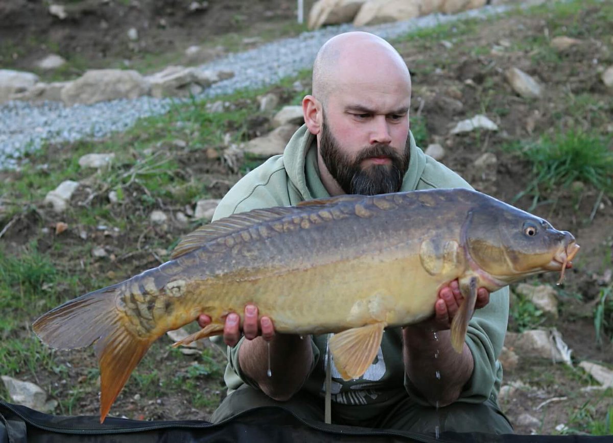 TheCarperKPG's tweet photo. Caught just before dusk and within a half hour of each other. Both upper doubles and after a slow day, quite welcome. Absolutely cracking fight from the long mirrors, fighting from the moment they are hooked.  #DreamCatchersLake #FreeLineMagazine https://t.co/1dNY01G7Um