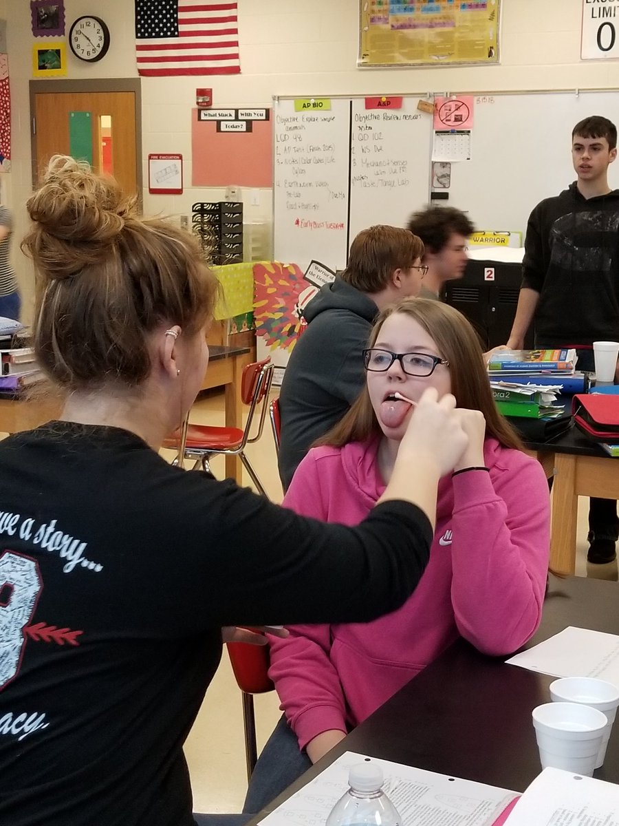 EHSLSciences's tweet photo. #anatomy started the taste lab today! They will be testing salty, sour, sweet and bitter 🗒

#labs #science #scienceteacher
#tastelab https://t.co/sdK794SckU