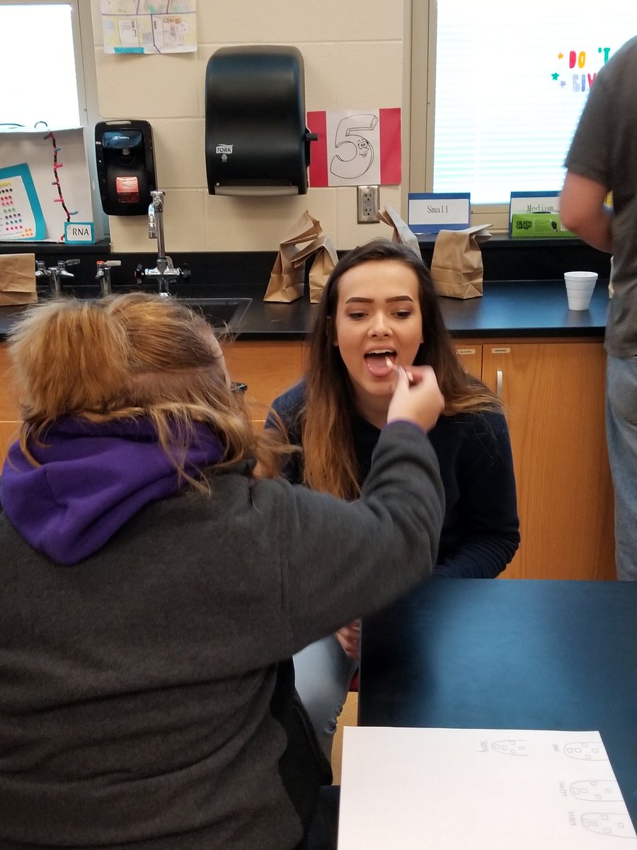 EHSLSciences's tweet photo. #anatomy started the taste lab today! They will be testing salty, sour, sweet and bitter 🗒

#labs #science #scienceteacher
#tastelab https://t.co/sdK794SckU