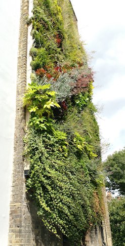 Gardens in the sky #easiwall #livingwall