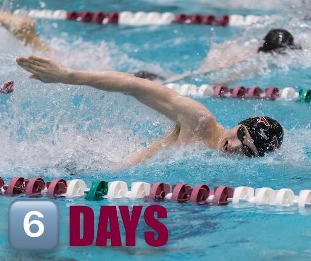 MITSwimDive's tweet photo. 🚨 Only 6️⃣ days until TECH starts competing at NCAA's in Indy!!! 🚨#TechYeah #TechFam #HereWeGoTech #D3SwimDive #D3NCAA #RollTech https://t.co/xJCbLlnfVI