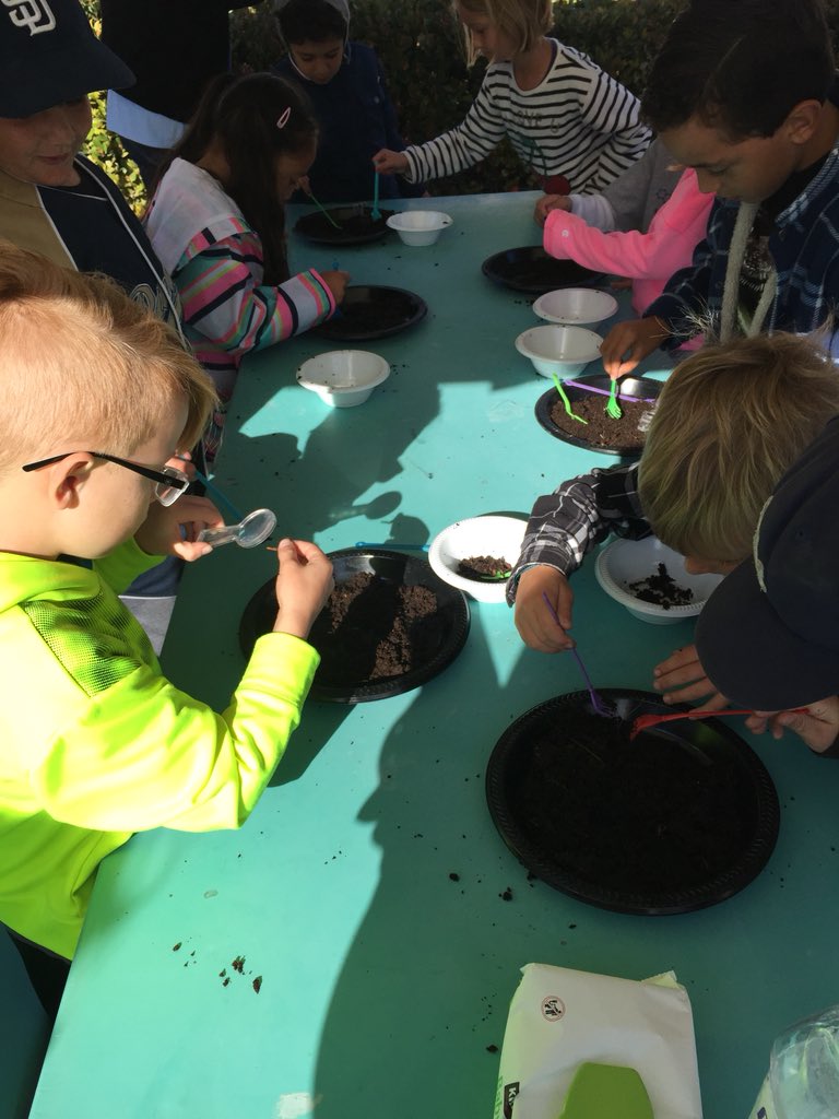 aoe_pta's tweet photo. 1st Grade Reptiles Engineering &amp; Composting #CEF #cefsciencedays #aoepta #cusdrocks https://t.co/X4wyo0dw3y