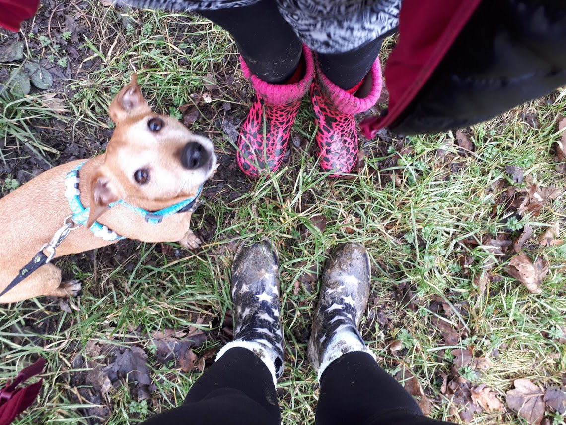 NationalUglyMug's tweet photo. Training for the NUM assault on Snowdon is well underway with the assistance of resident walking expert Wrinkles the dog.
We're also 14% of the way to our fundraising goal, help us make it all the way to the top! https://t.co/TpzRCPPGHK
#SnowNUM #DogsofTwitter #EndStigma https://t.co/RgIpQzx7wf