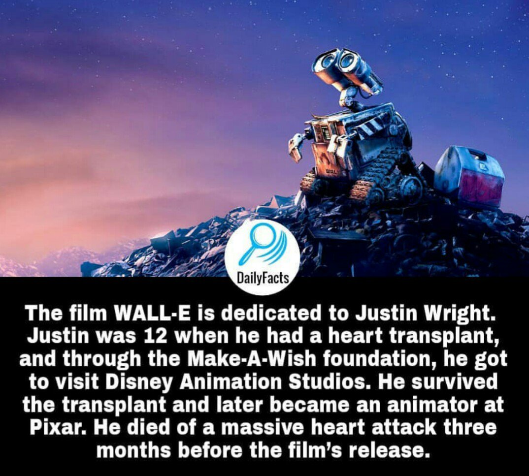 NowYouKnowDaily's tweet image. 