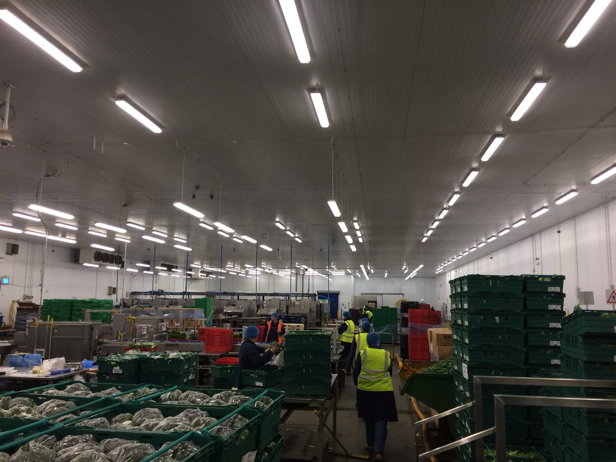 NiswanderFarms's tweet photo. Thank you @LukeRyder23 @NFUtweets for showing us around Warwickshire and taking us to HG Heath and Sons farm, G’s packing facility, and a lunch at The Bridge Inn on the River. We learn so much from friendly people like you. #ukmagicmoments #tnmagicmoments @FarmBureau #palclass9 https://t.co/c1VVBThUdU