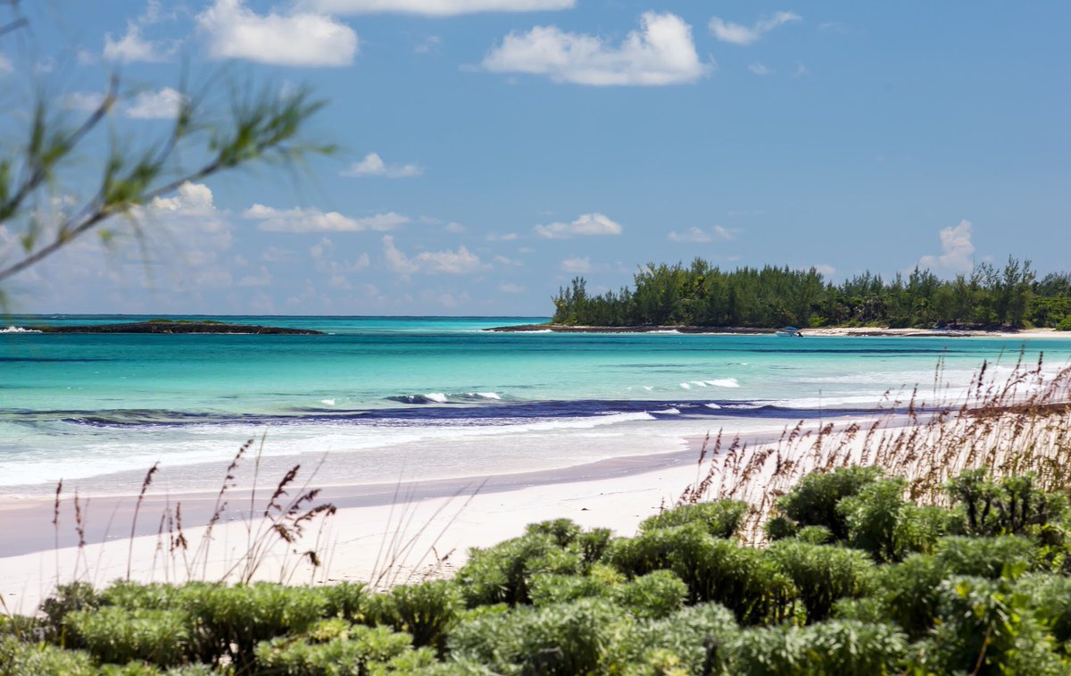 caribbeanliving's tweet photo. Thursday views from the #Bahamas @fleleuthera all in the latest issue of https://t.co/QiDuQ9gTjo #outisland #eleuthera #bahamas #pinksand #beaches #frenchleave https://t.co/30XCNXbl6s