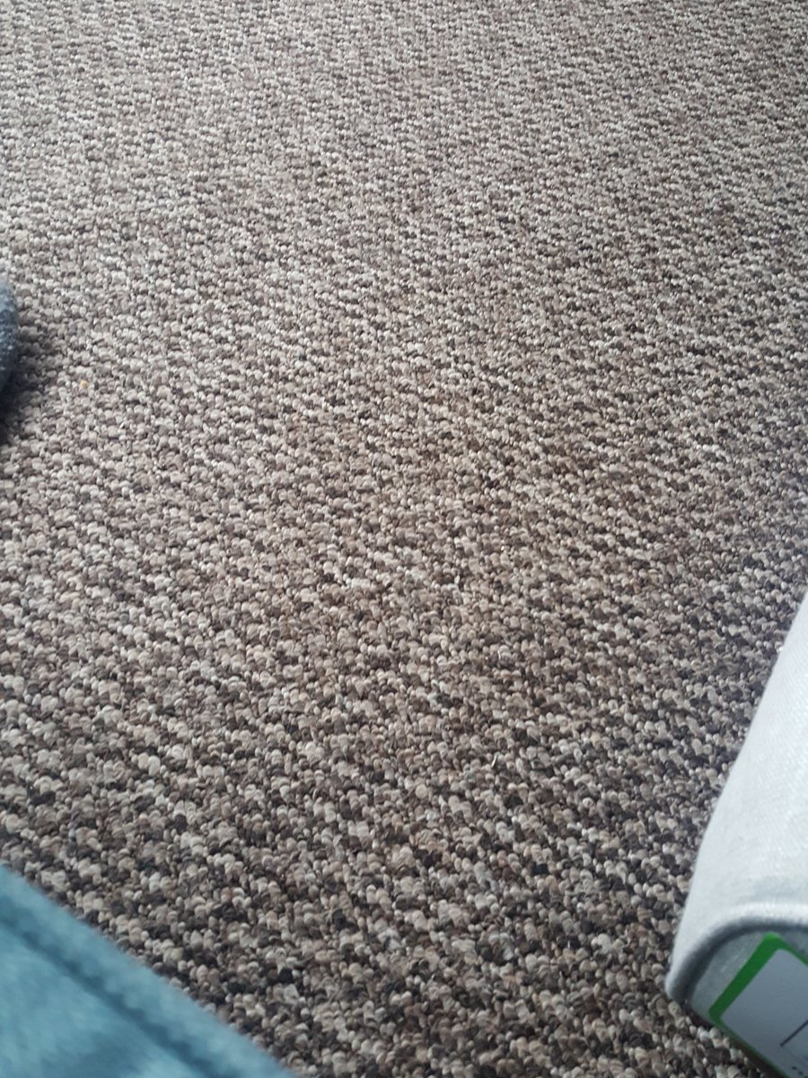 I hate this carpet