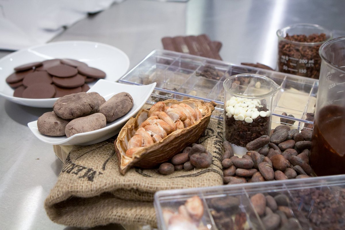 iceculinary's tweet photo. "The same compounds responsible for the aroma of peaches, cooked cabbage, cucumbers and even human sweat are all part of the mysterious stew that is chocolate." — More insights from our #RootsofCacao Chocolate Symposium: https://t.co/5jFFMVcrE8 #ICEculinary #culinaryvoice https://t.co/H9o4OdxC3n