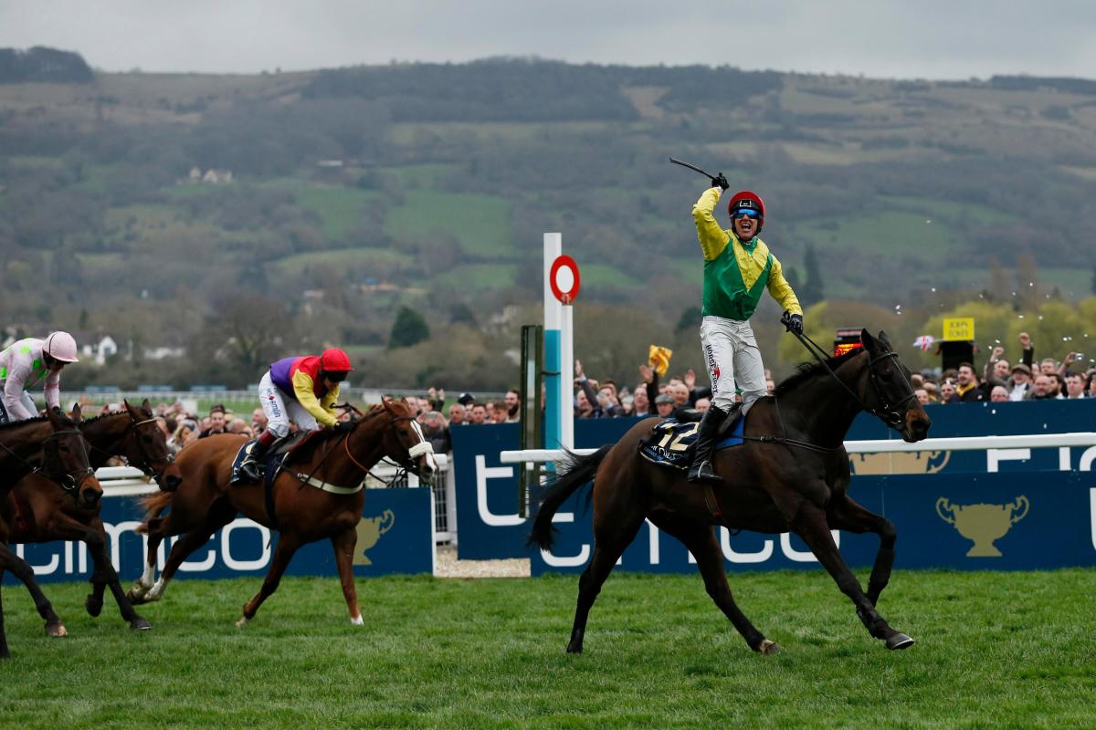raceclear's tweet photo. 🏆 Competition time! 🏆

We’ve got 1x £100, 1x £50 &amp; 1x £25 bets to give away with 888Sport! 💰

Name the winner &amp; winning distance of the #Cheltenham Gold Cup, follow us and 🔄 RT this tweet to enter!

Winners announced after the race – good luck! 💪

18+ only, T&amp;Cs apply https://t.co/rwIuzupqFT