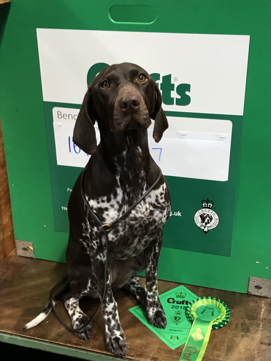 Fachshund's tweet image. Our crufts post has just gone live on the blog! fachshund.blogspot.co.uk/2018/03/crufts…