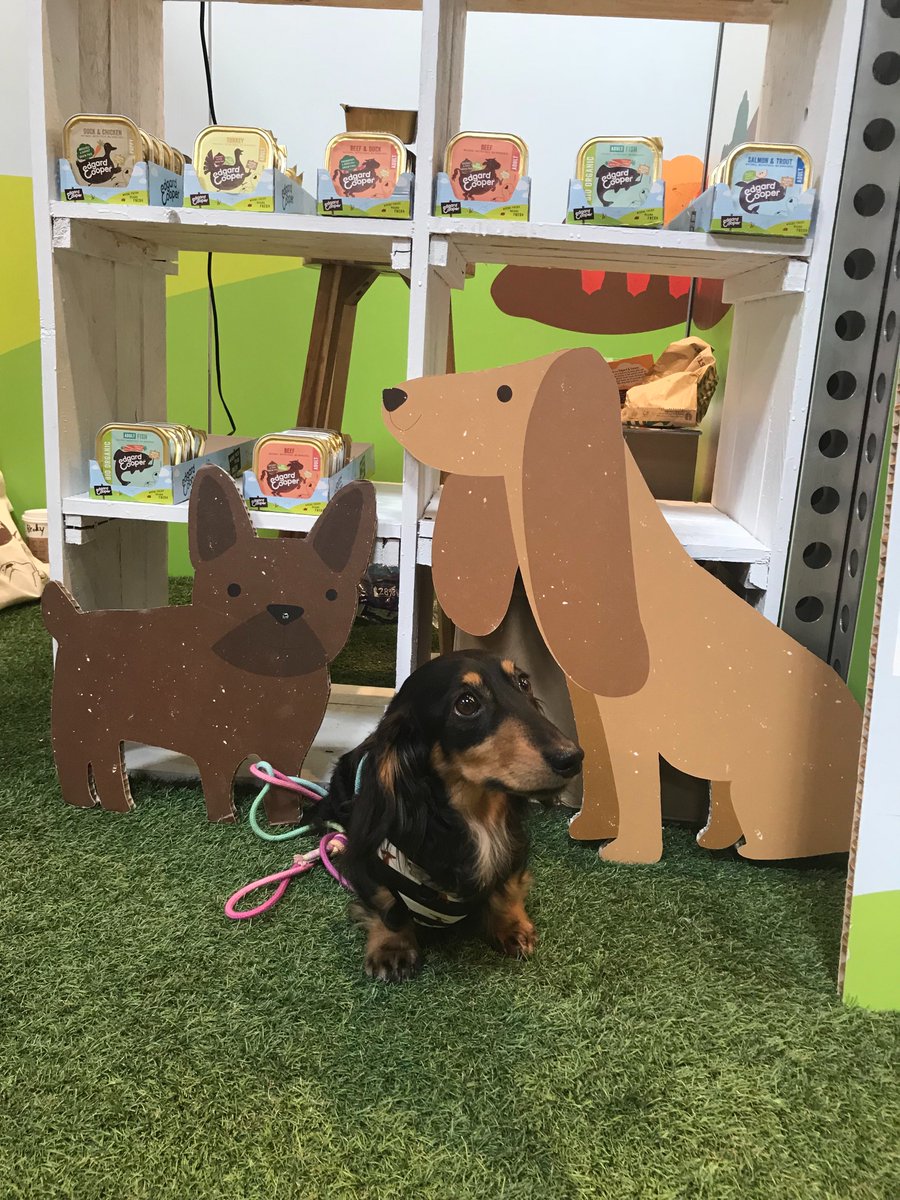 Fachshund's tweet image. Our crufts post has just gone live on the blog! fachshund.blogspot.co.uk/2018/03/crufts…