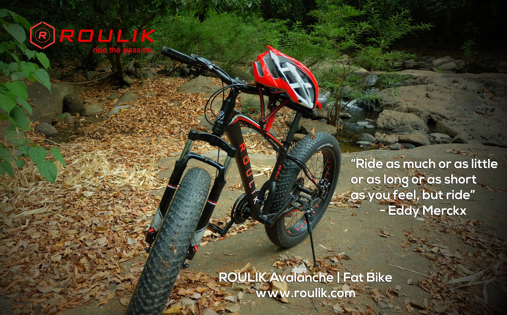 roulik avalanche fat bike price