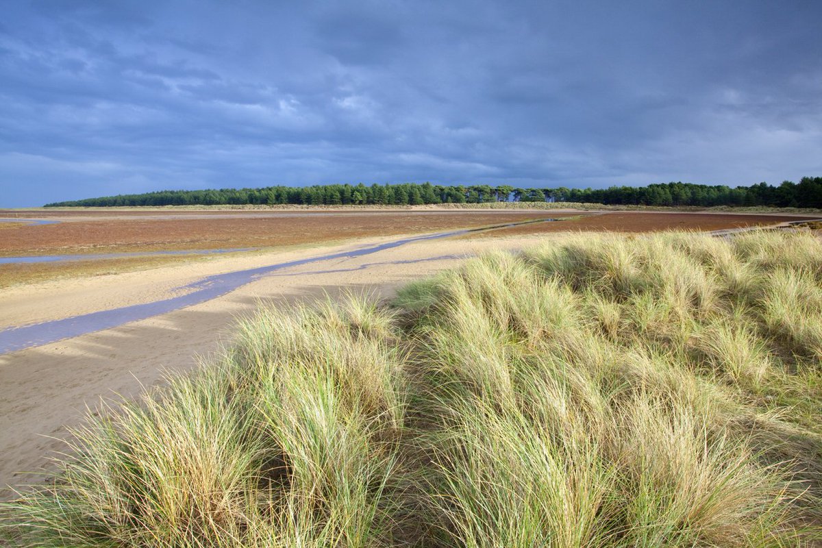 Visit Norfolk tweet media