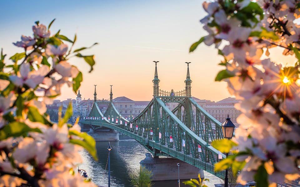 Budapest Local tweet media