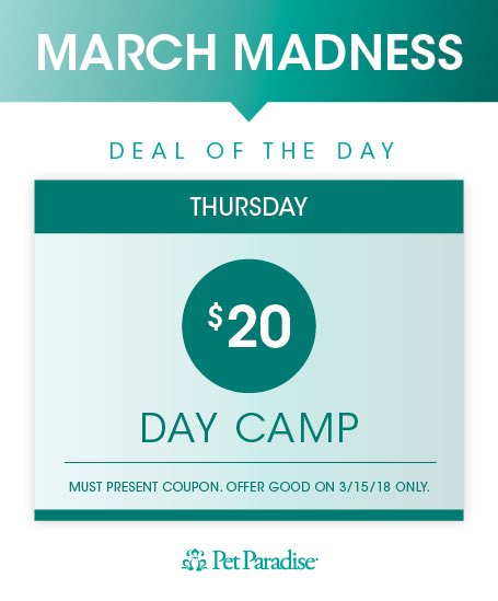 PPRLakeNorman's tweet photo. 4th day of March Madness! Soak in the greats deals! Today Only! #mypetparadise #dogdaycare #MarchMadness #petparadiselkn #greatdeals https://t.co/xaAtPOleri