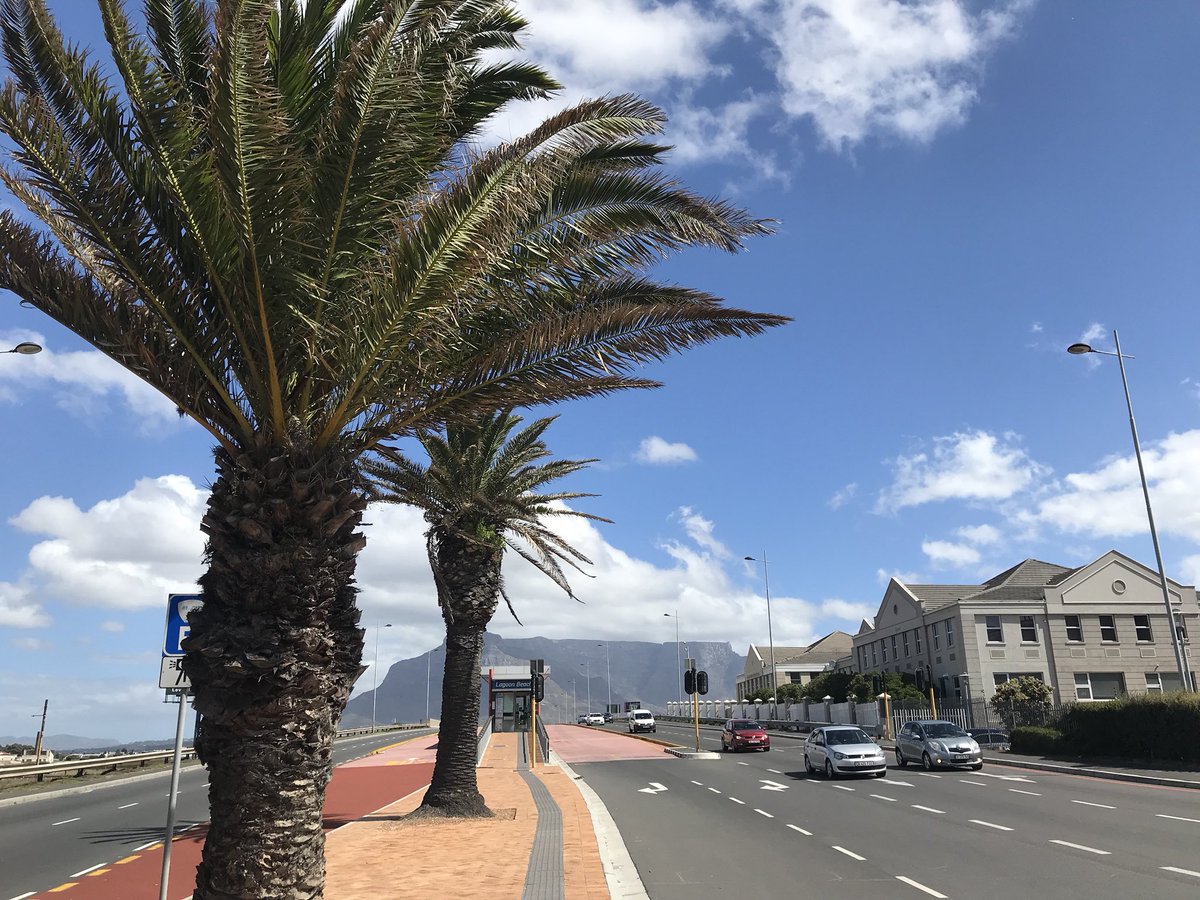 CPTtwins's tweet photo. What a beautiful City ! 🌻🌞🌴 https://t.co/ChaBEw98W3