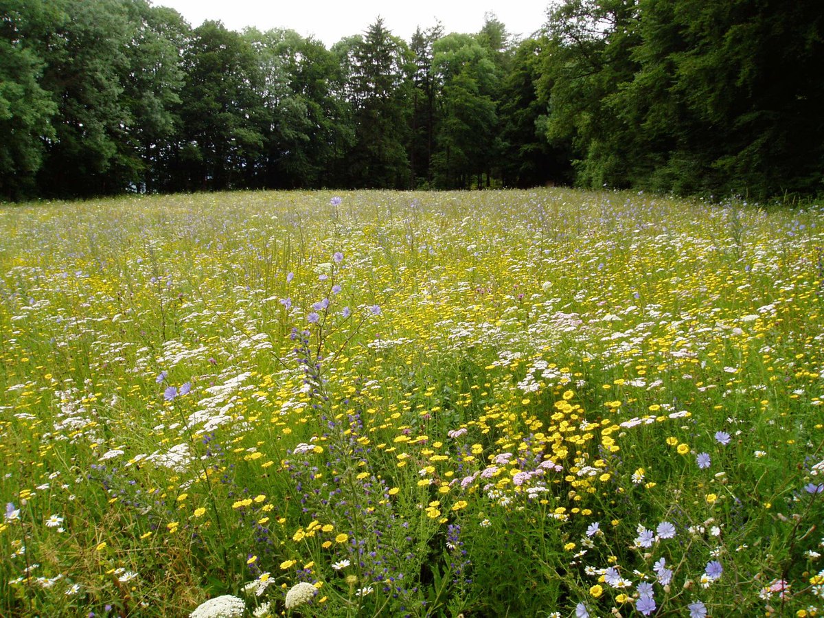 Sandra Wyss tweet media