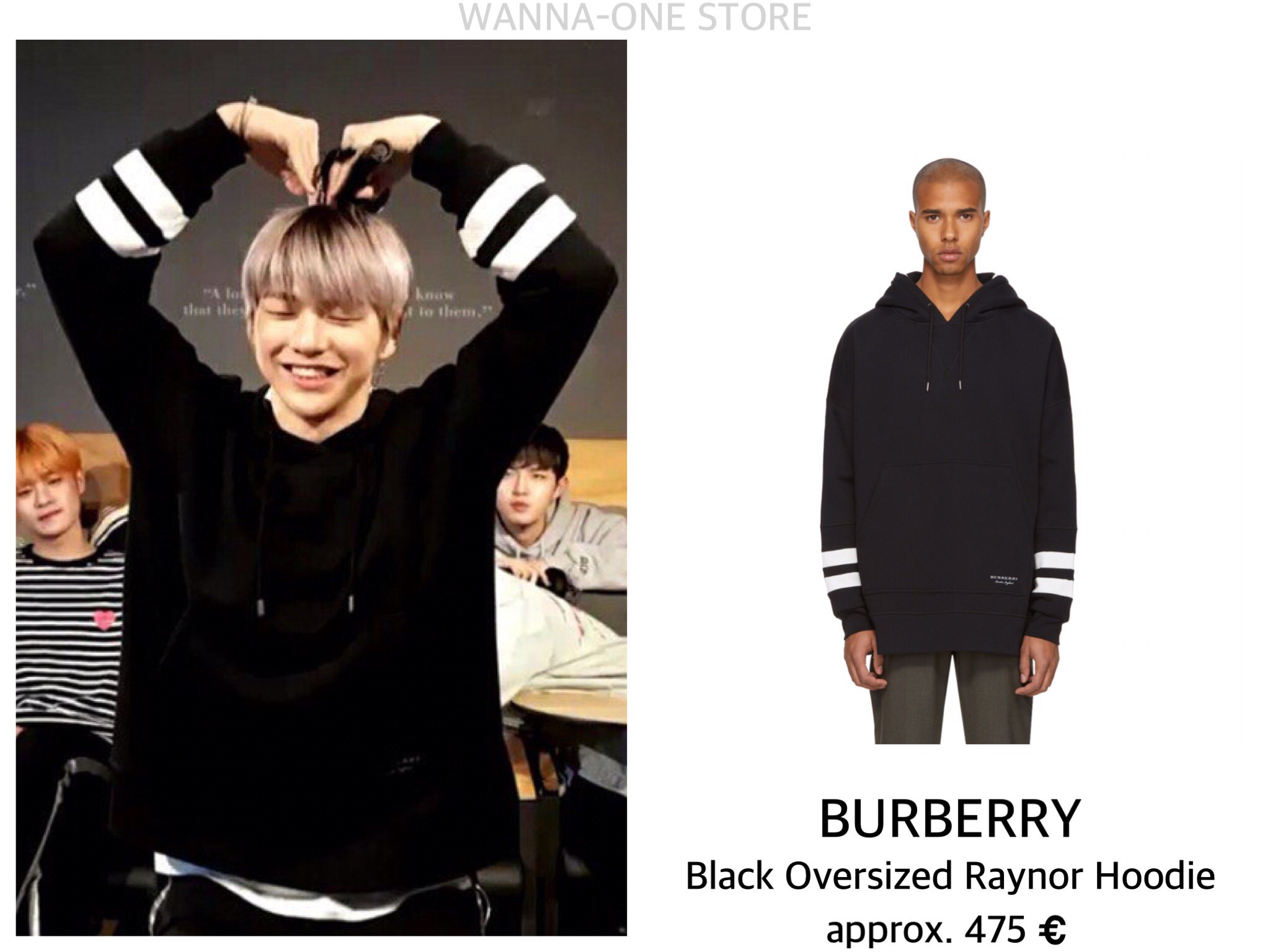 Burberry clearance raynor hoodie