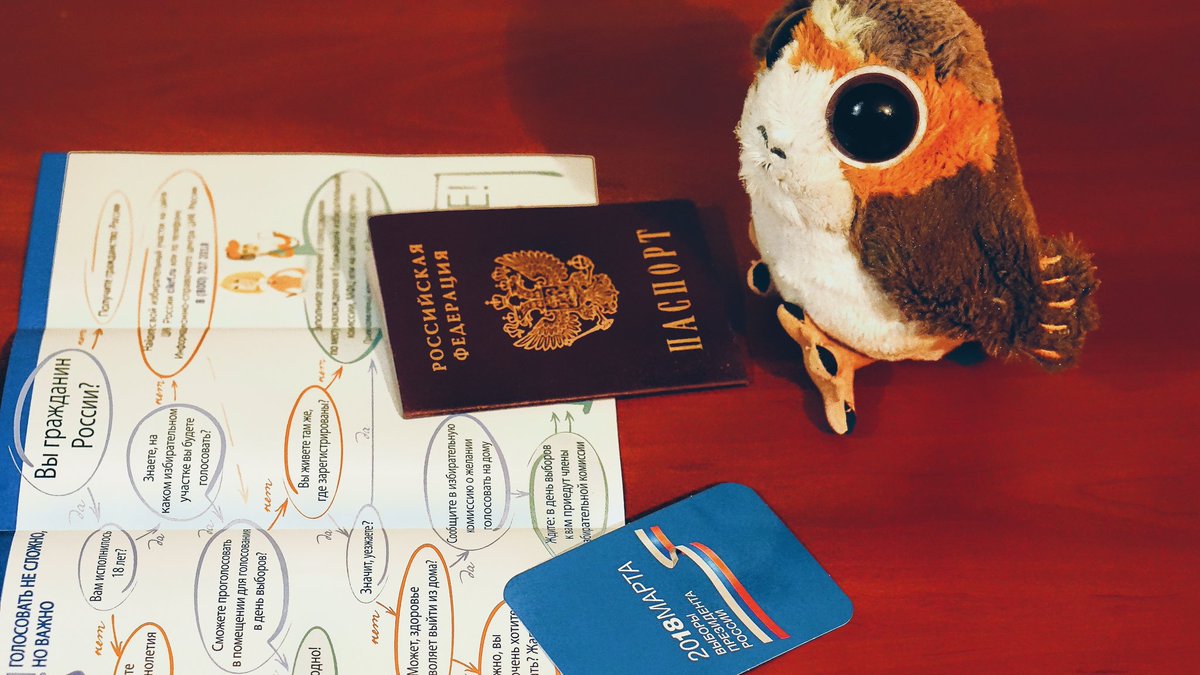 Птичка грустит, ведь ей нельзя голосовать) #участок #москва