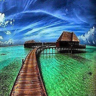 StevePratt3's tweet photo. https://t.co/aXeqO6o0NW #tbt to our dream of pure bliss! @Regrann from @getrealluxury - A path to bliss -  #luxury, #getrealluxury, #luxurytravel, #travel, #luxlife, #luxurylifestyle, #luxurylife, #worldtravel, #success, #bestpic, #Tahiti #Regrann -… https://t.co/zkuSa5D8Ih https://t.co/ZLK5YFEtVg