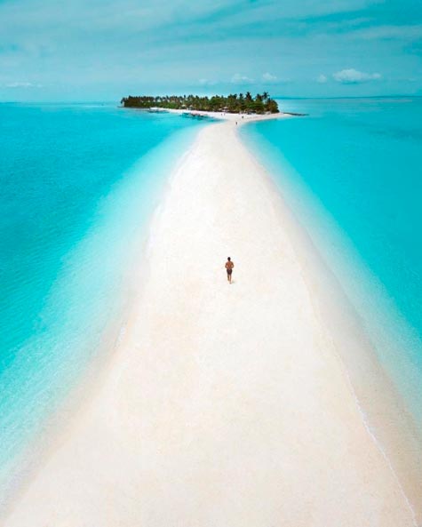 Travel Surfing tweet media