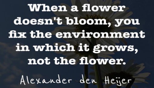 BringLearning2Life tweet media