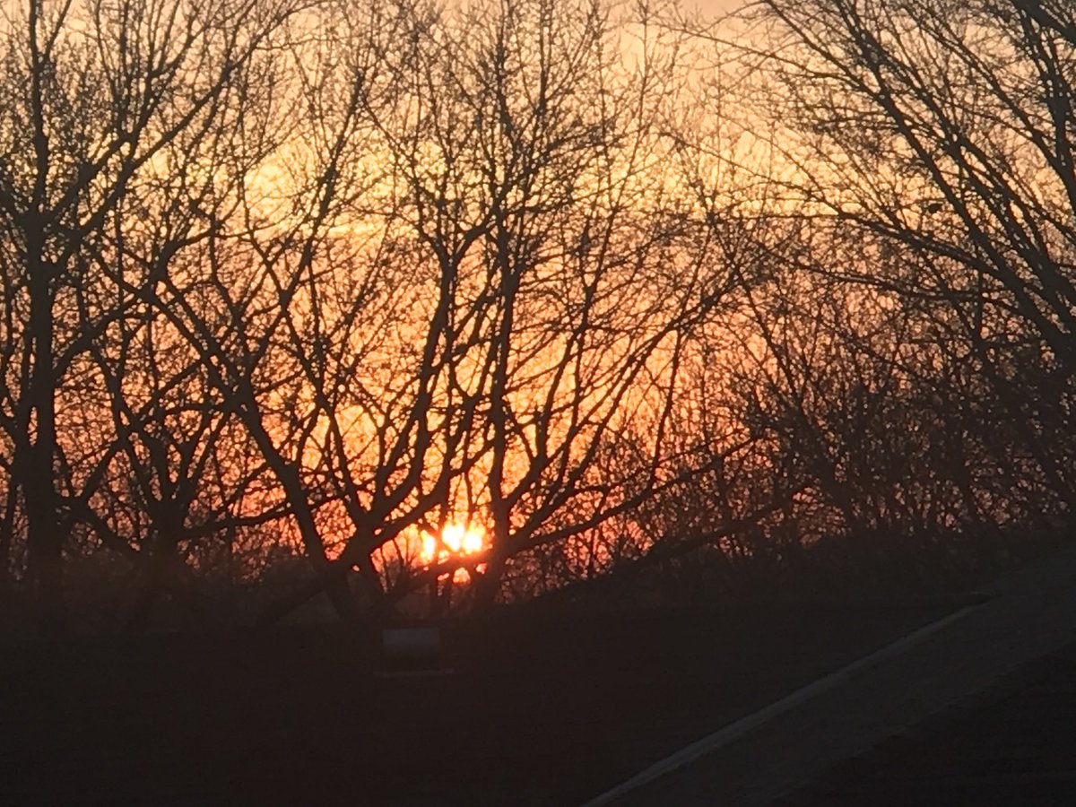 artdchase's tweet photo. Your daily dose of vitamin D is popping on on the horizon! #getyasomeofthat https://t.co/6gWdpGQs55