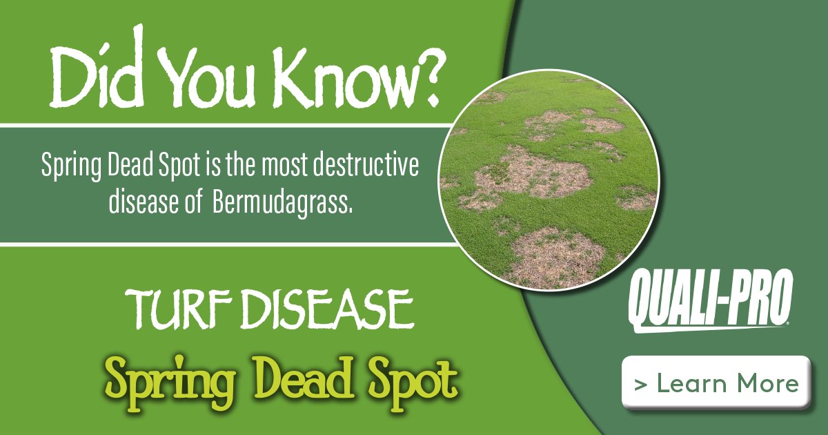 Quali_Pro's tweet image. Click to LEARN MORE about #springdeadspot #turfdisease #qualipro
hubs.ly/H0bjS7K0
