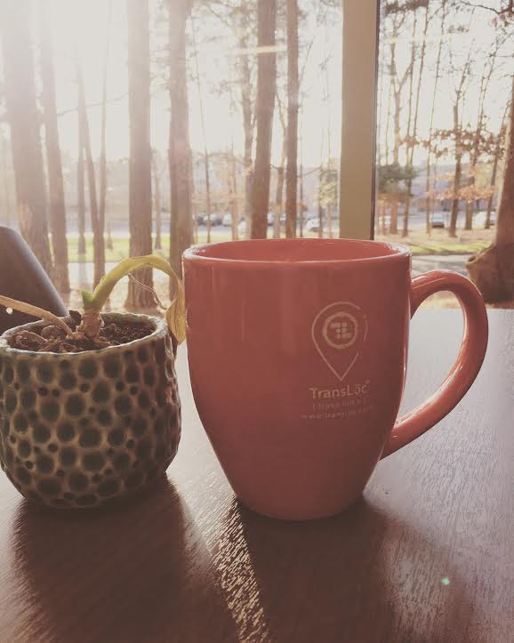 transloclife's tweet photo. #HappyThursday everyone! Starting today with positive thoughts and a can do attitude! Only one more day until Friday! #nature #coffeetime #transloclife #sunshine https://t.co/hl0HQZU9Qq