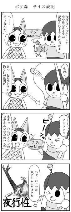 ポケ森　サイズ表記
#ポケ森 