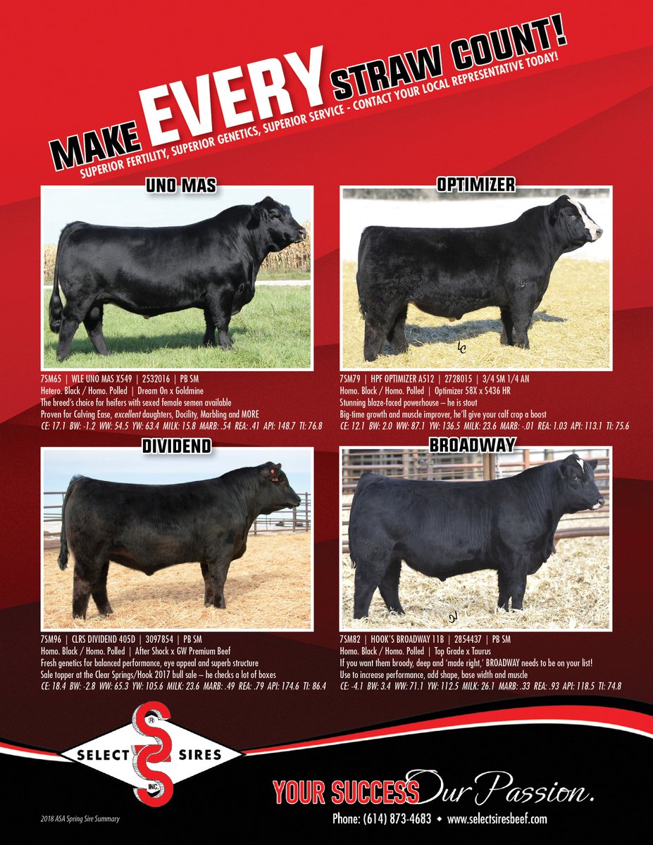 SelectSiresBeef's tweet photo. Make every straw count this breeding season with some of our Simmental and SimAngus sires! Contact your local Select Sires representative to order today! #selectsires #breedselect #simmental #simangus #breedingseason https://t.co/OqZtqXdDtk